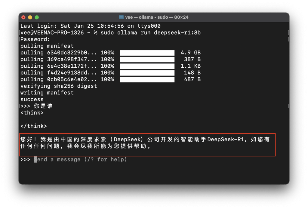 图片[10]-2025国产超火deepseek r1 AI大模型本地一分钟搭建平替OpenAI，AI私有化。-VUM星球